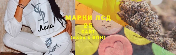 гашик Алексин