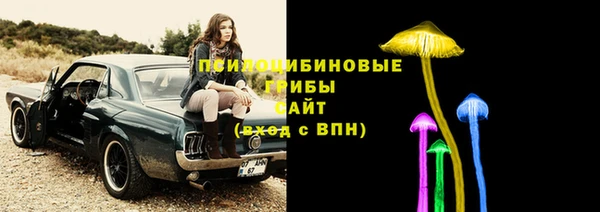 СК Абаза