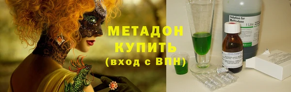 гашик Алексин